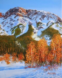 25046(2) kananaskis snow 11 x 14