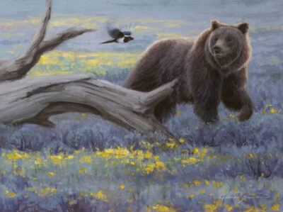 A-Bear-and-Magpie-Study-web