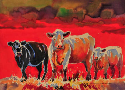 A Palette Of Cows Gregg Johnson