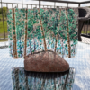 A Warm Breeze 2 - Terri Prince