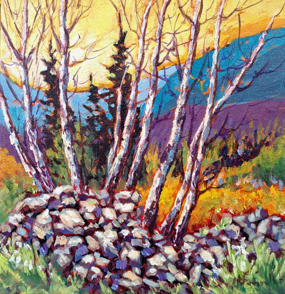 Aapfannmuller a1625 summer light acr 9x9