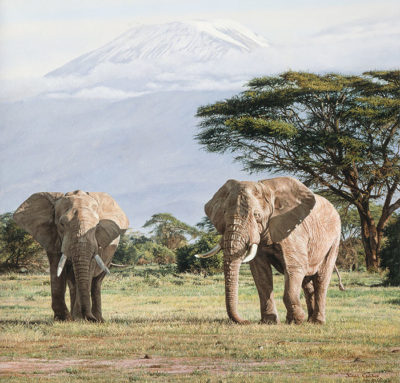 African Ancients Simon Combes