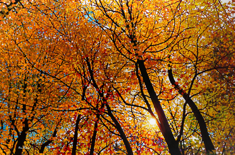 Algonquin Sundance
