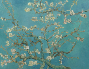 Almond Blossom in Spring by Vincent van Gogh