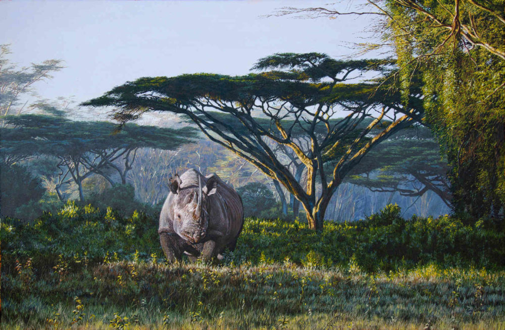Anguruok