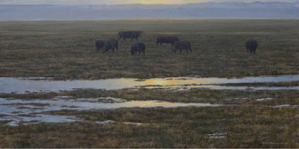 Angus Sunset Robert Bateman