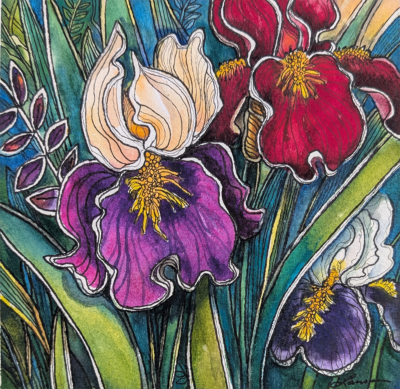 April Irises (2026)