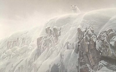 Arctic Cliff - White Wolves - Robert Bateman