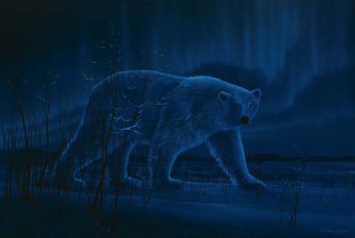 Arctic Fire - Rod Tribiger