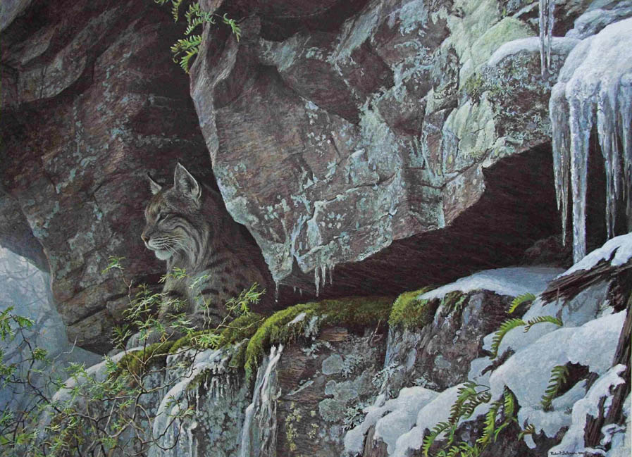 At the Cliff - Bobcat - Robert Bateman