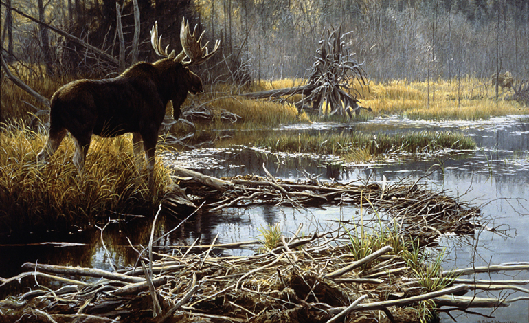 Bateman Moose Autumn Overture - Moose - Picture This Framing & Gallery