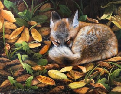 Autumn Snooze - Cindy Sorley-Keichinger