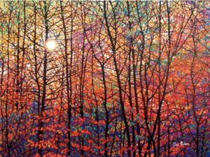 Autumn Sunburst - Tim Packer