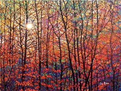 Autumn Sunburst - Tim Packer