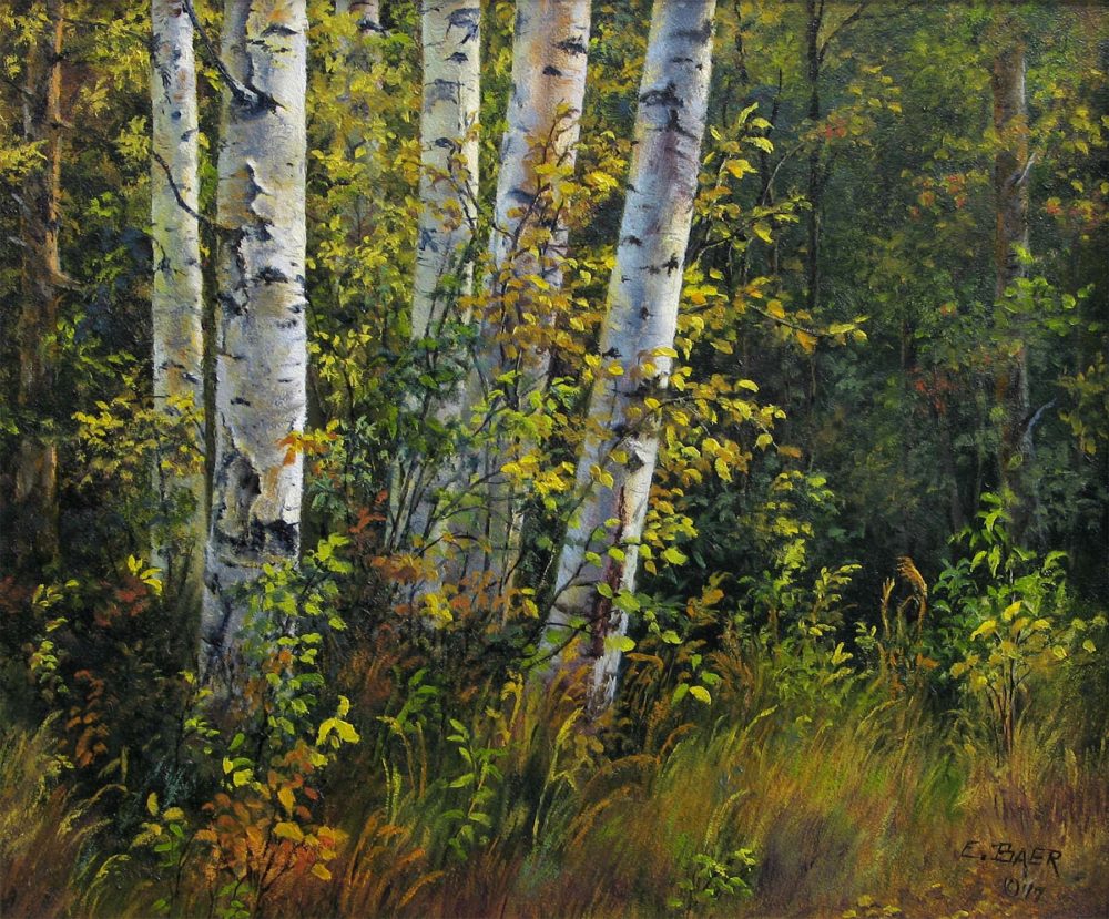 Autumn Trees in Jasper, AB - Elsie Baer