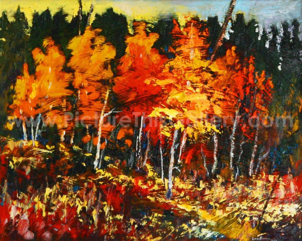Autumn in the Weaselhead
