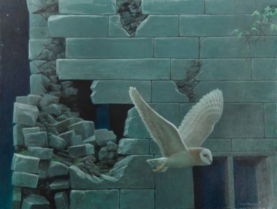 Barn Owl at Biddulph Hall - Robert Bateman