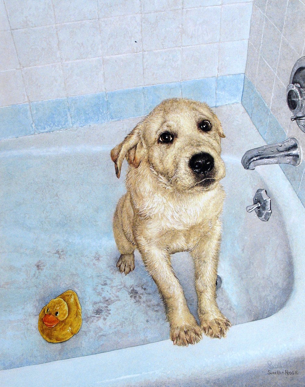 Bathtime Blues
