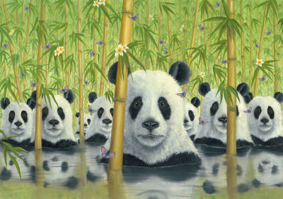 Bear-Cats - Robert Bissell
