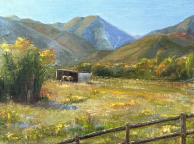 Beneath the Mountain Sky