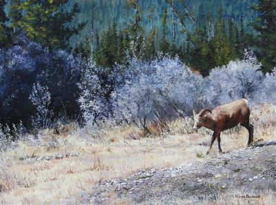 Bighorn Sheep Outside Jasper - Kerri Burnett