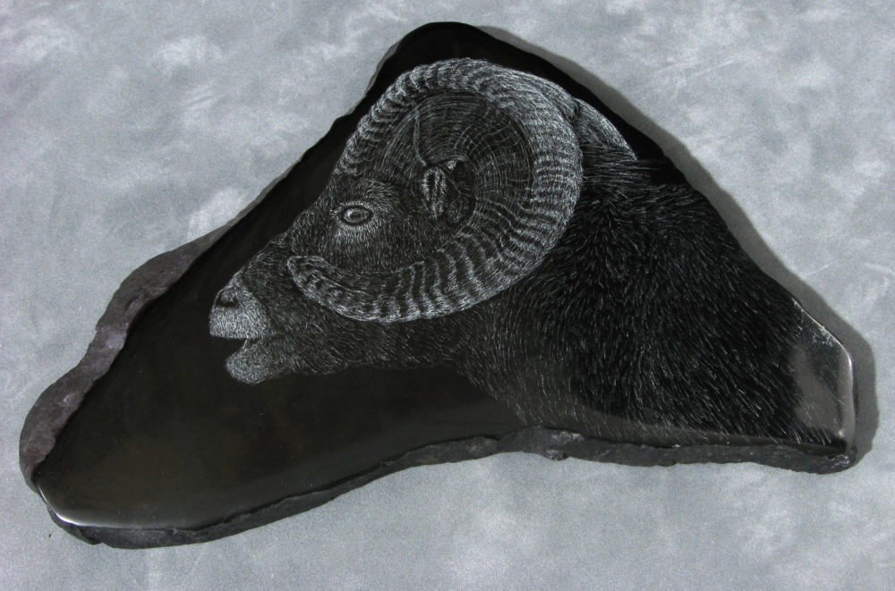 Bighorn Sheep