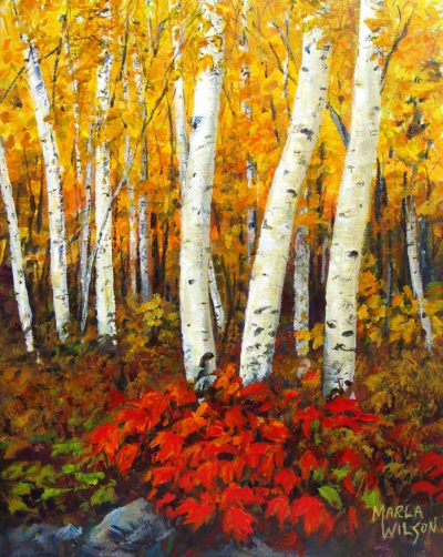 Birch Point (Ontario) - Marla Wilson