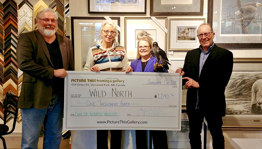 Blog - Picture This Gallery Donates to Wild North 1