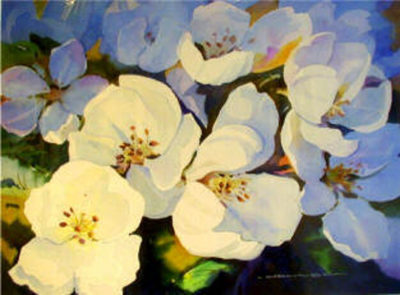 Blossoms In Shadow Gregg Johnson