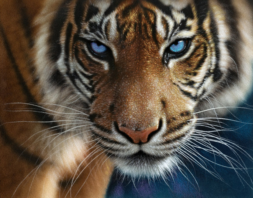 Blue Eyes