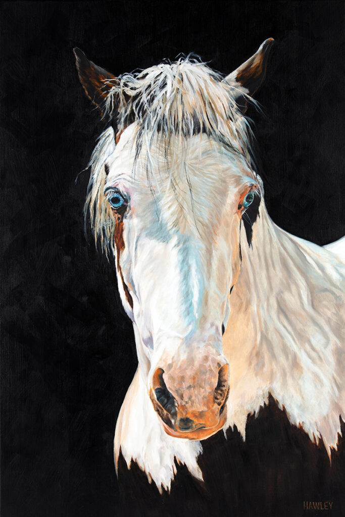 Blue Eyes Picture This Framing & Gallery