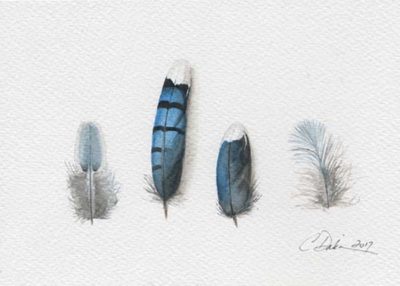 Blue Jay Feather Collection - Charity Dakin
