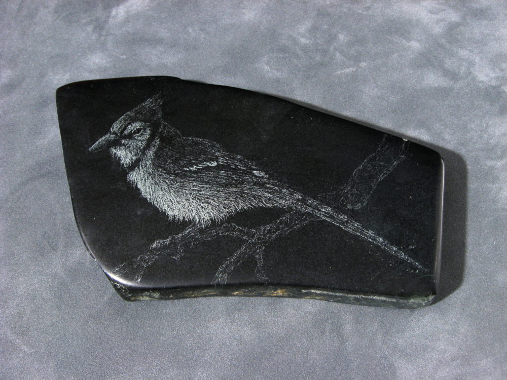 Blue Jay