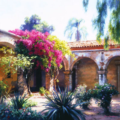 Bougainvillea June Carey