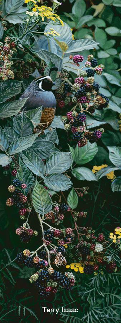 Brambles And Brass Buttons Terry Isaac