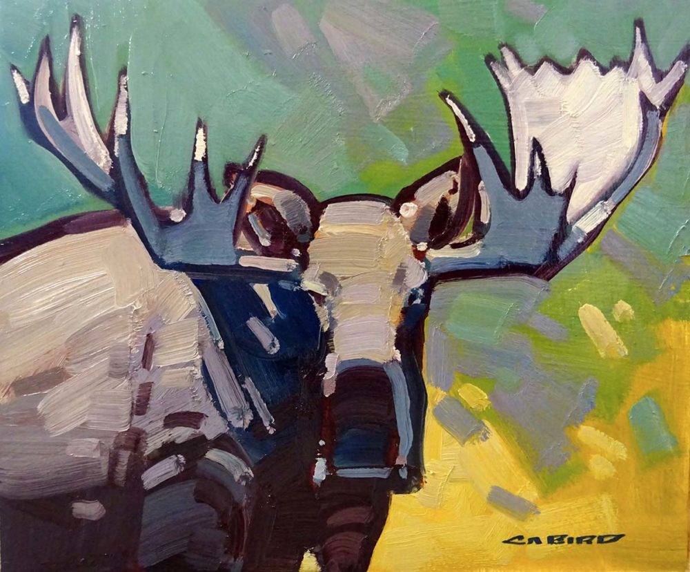 Bull Moose - Cameron Bird