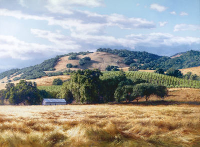 California Wine Country June Carey