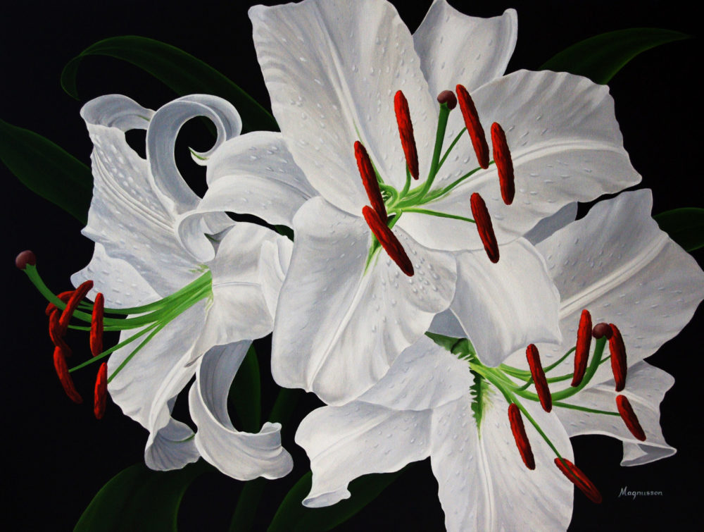Casa Blanca White