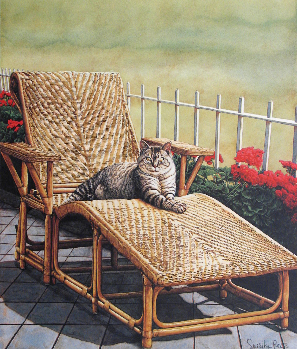 Casey Cat