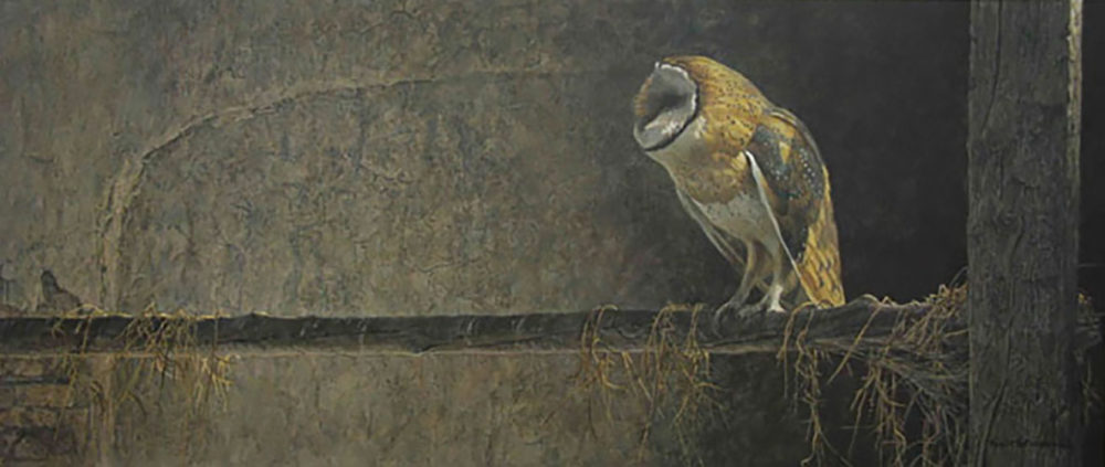 Catching the Light - Barn Owl - Robert Bateman