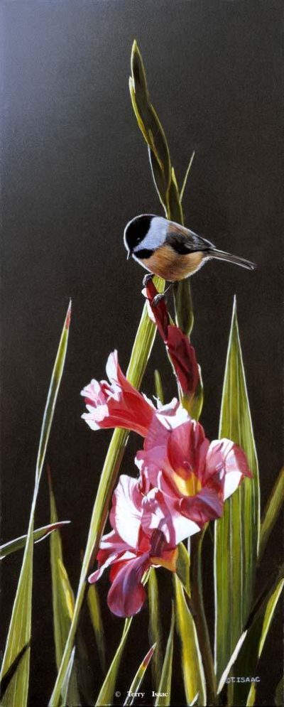 Chickadee And Pink Gladiolas Terry Isaac