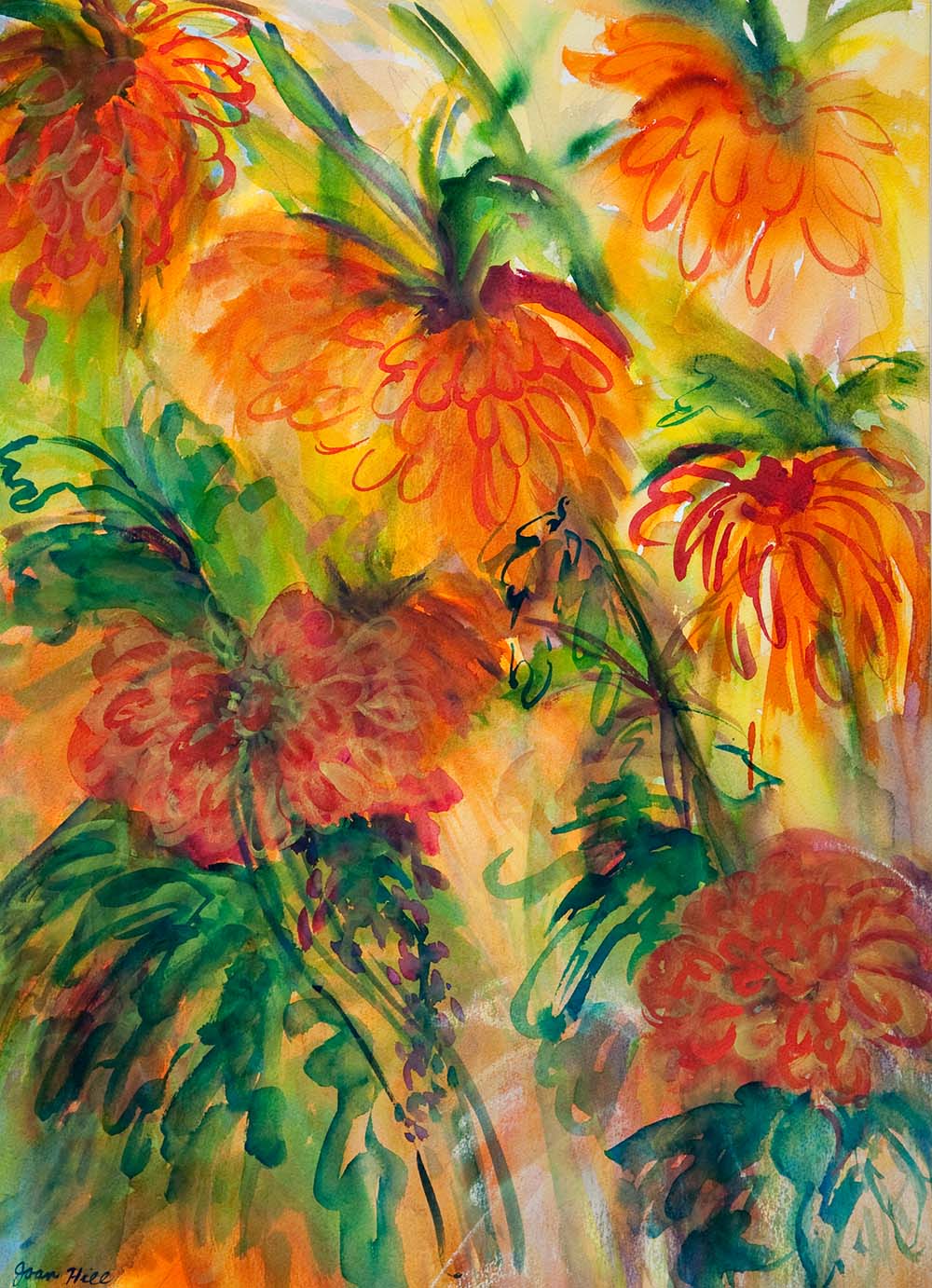 Chrysanthemums - Joan Hill