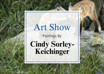 Cindy Sorely Show 350 x 250