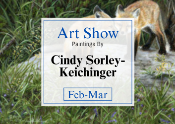 Cindy Sorely Show 350 x 250