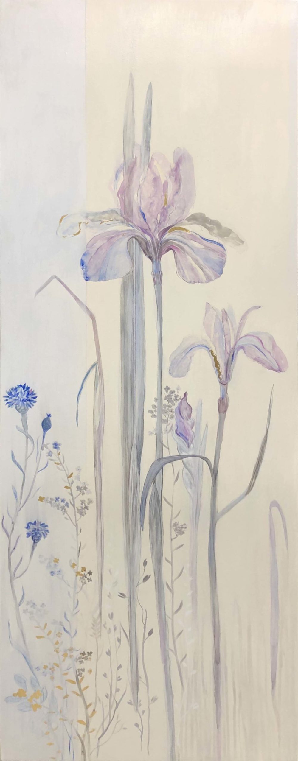 Cornflower Iris 1 - Fiona Hoop
