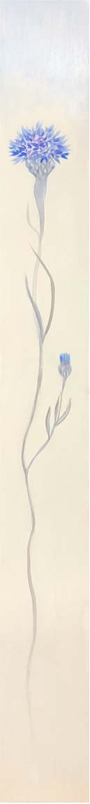 Cornflower Iris 2 - Fiona Hoop