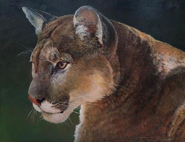 Cougar Portrait - Jan Martin McGuire