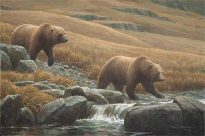 Courting Grizzlies - Robert Bateman