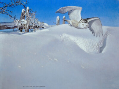 DRIFT_Snowy Owl_Oil on prepared panel_10_ x 7.5__MMXXIV_Michael Dumas