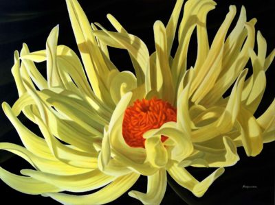 Dahlia in Motion - Dennis Magnusson